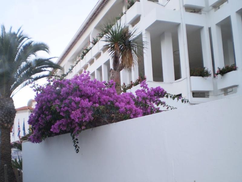 Regency Torviscas Apartments And Suites Costa Adeje  Buitenkant foto