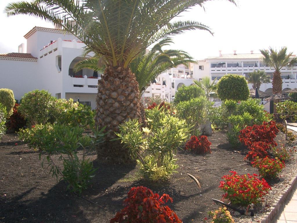 Regency Torviscas Apartments And Suites Costa Adeje  Buitenkant foto